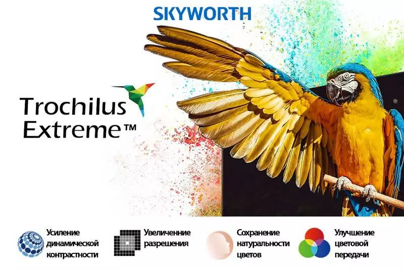 Телевизор Skyworth TV 65" G22 - фото 6 Телевизор Skyworth TV 65" G22 - фото 6
