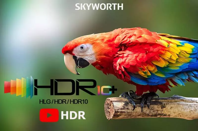 Телевизор Skyworth TV 65" G22 - фото 7 Телевизор Skyworth TV 65" G22 - фото 7