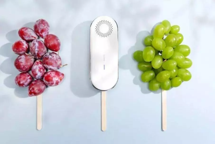 Купить Стерилизатор-озонатор для холодильника Xiaomi Quange Sterilizing Deoderizer (CF120101) - фото 1 Купить Стерилизатор-озонатор для холодильника Xiaomi Quange Sterilizing Deoderizer (CF120101) - фото 1