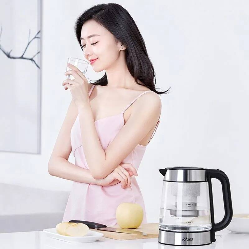 Электрочайник Xiaomi Lofans F-627F Silver (Серебристый)