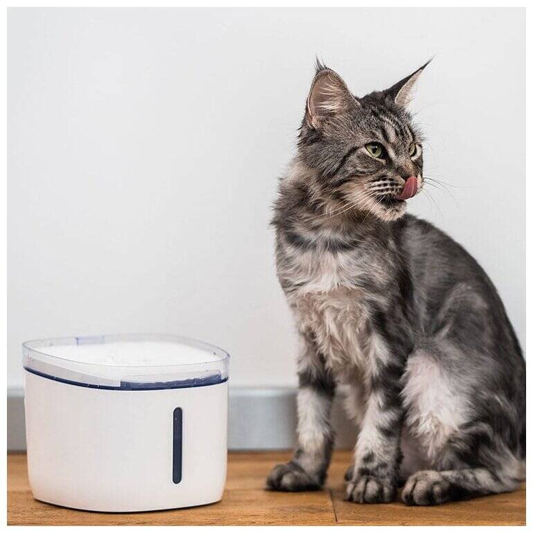 Автопоилка для животных Petoneer Fresco Mini Plus Fountain (WF004) White (Белый) Автопоилка для животных Petoneer Fresco Mini Plus Fountain (WF004) White (Белый)