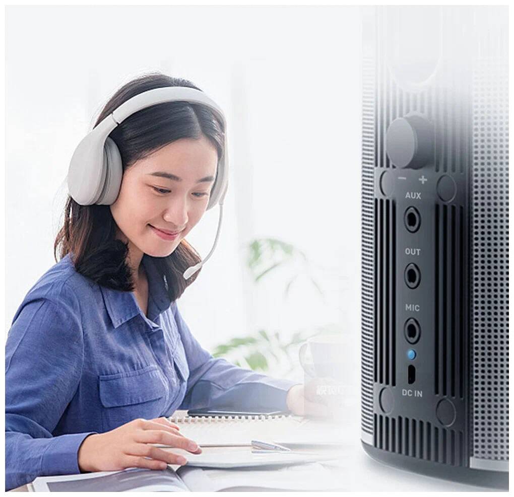 Колонки портативные Xiaomi BINNIFA Desktop Computer Stereo Bluetooth Speaker Play 2D Gray (Серый)