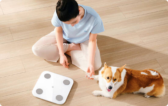 Весы электронные Xiaomi Body Composition Scale S400 (MJTZC01YM) White (Белый)