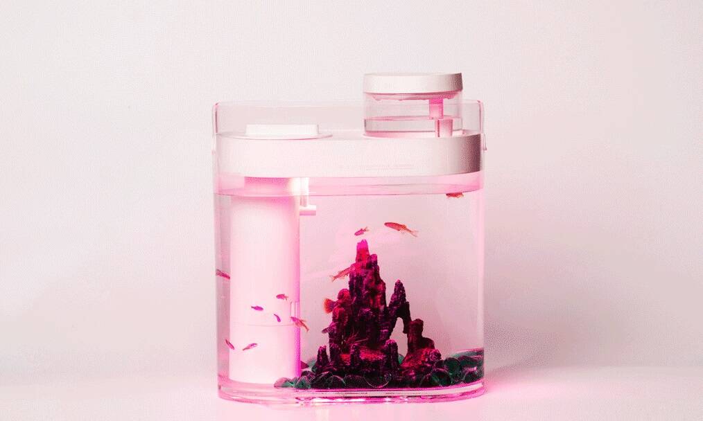 Аквариум Xiaomi HFJH Amphibian Eco-Aquarium Youth Edition (HF-JHYGQC001) Pink (Розовый)