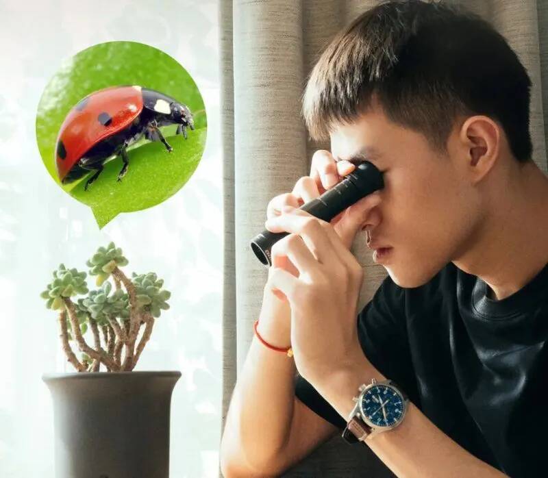 Монокулярный телескоп Xiaomi Celestron - SCJJ-825 Black (Черный) Монокулярный телескоп Xiaomi Celestron - SCJJ-825 Black (Черный)
