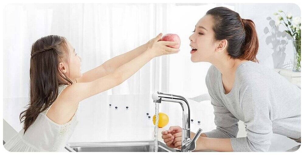 Смеситель с выдвижным изливом Xiaomi Diiib Large White Removable Kitchen Faucet (DXCF005) Silver (Серебристый)