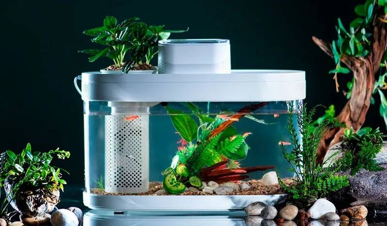 Аквариум Xiaomi Descriptive Geometry C180 Smart Fish Tank PRO (HF-JHYG007) White (Белый) Аквариум Xiaomi Descriptive Geometry C180 Smart Fish Tank PRO (HF-JHYG007) White (Белый)