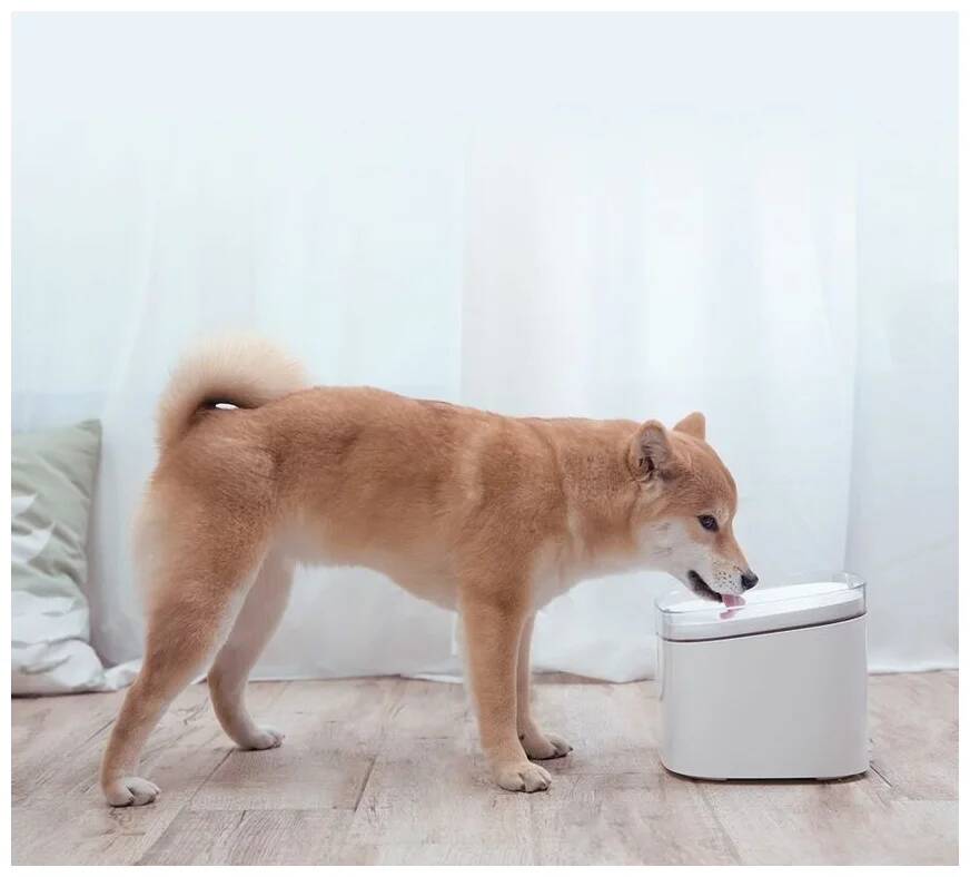 Автопоилка Xiaomi Mijia Smart Pet Water Dispenser 2 л (XWWF01MG) White (Белый) Автопоилка Xiaomi Mijia Smart Pet Water Dispenser 2 л (XWWF01MG) White (Белый)