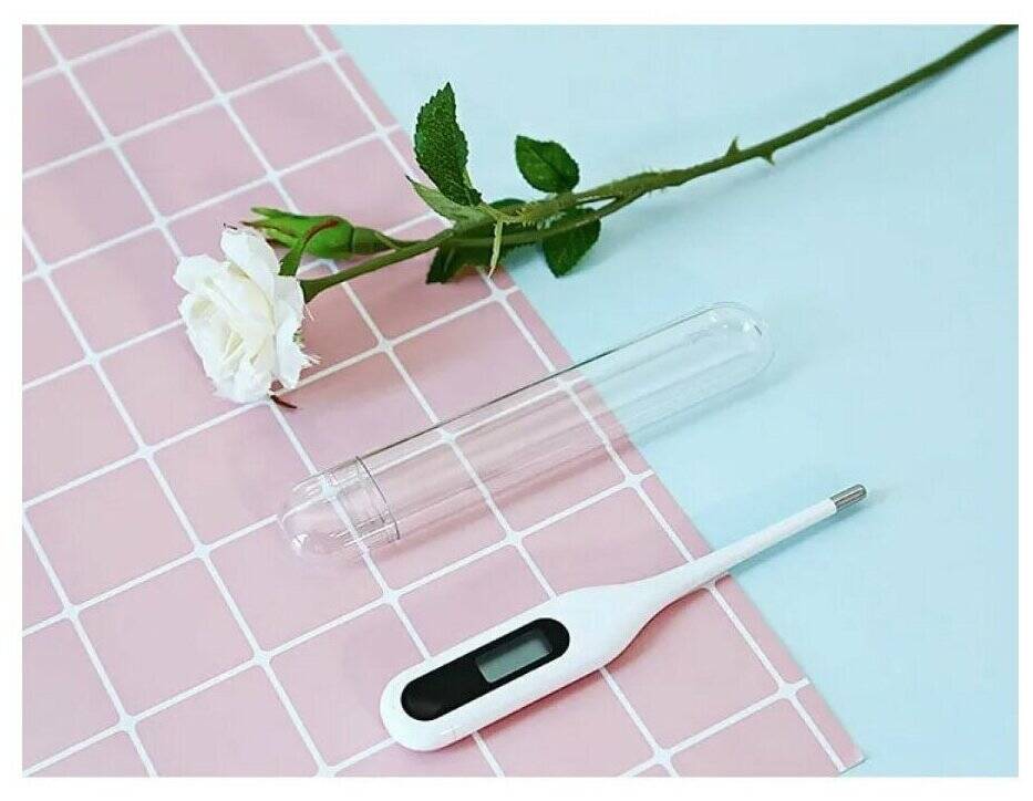 Электронный термометр Xiaomi MiaoMiaoce (MMC-W201) White (Белый)
