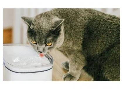 Автопоилка Petoneer Smart Pet Water Dispenser 2 л (FSW030-M) White (Белый) CN