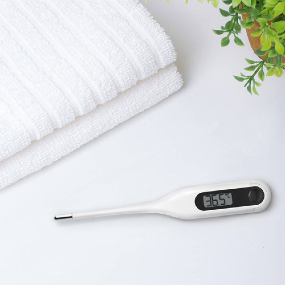 Электронный термометр Xiaomi MiaoMiaoce (MMC-W201) White (Белый)