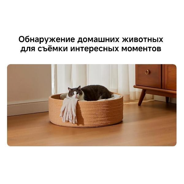 IP-камера Xiaomi Mi Smart Camera C302 (BHR08SVGL) White (Белый) Global Version